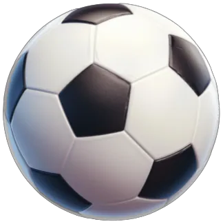 Sports category illustration